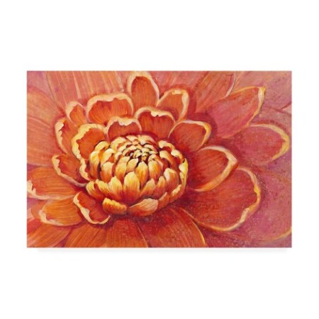 Tim Otoole 'Micro Floral Ii' Canvas Art,30x47